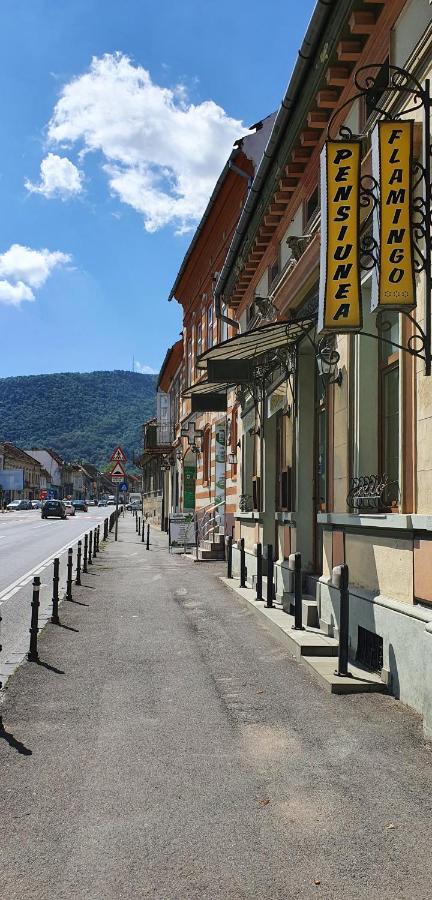 Pension Flamingo Brasov Exterior photo